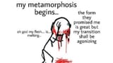 metamorphosis