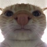 1565218557156