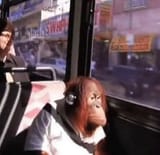 monke