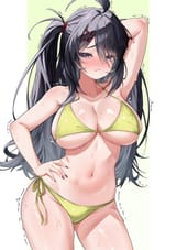 Z11 Bikini