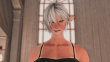 ffxiv_dx11 23 1272