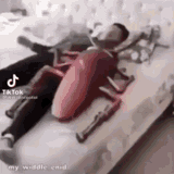 roach