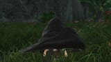 ffxiv_dx11 2025-06-13 11-25-23