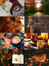 tumblr_of2hvzdFCp1uzdk68o1_r1_1280