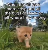 1725612301132036