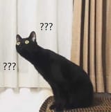 1576087091407