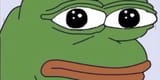the tiktok frog