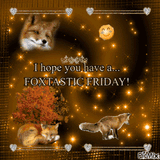 focks-friday