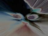 1734571399961965