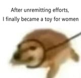 1706350387538577