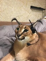 1704622568804614