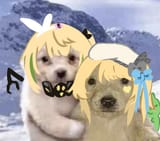 sharkryvepley