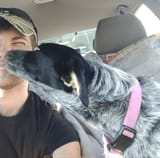 my car girl