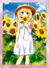 mitchersunflowers