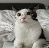 scholar and a gentlecat