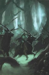wild riders