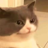 1687583617384