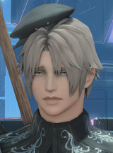 ffxiv_dx11_qdbjKCIHCO