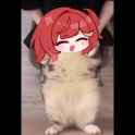 senai_thumb.jpg