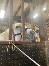 IMG_0996