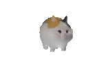 1748218491910538