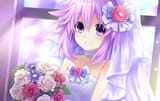 8924296dd1df84d2a9ce5dc28398f1a4~2