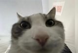 5747585