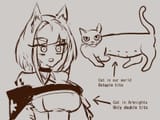 Kal cat facts @thiccborb