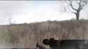 Replay_2025-06-13_22-36-08_1_thumb.jpg