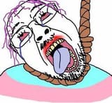 OIP