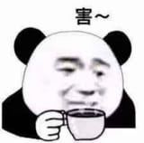 21a2c38c263c792fa9c94ccfe506fe88