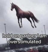 horsing