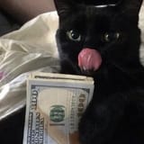 ss