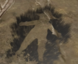1747037453592232