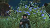 2025-06-08 04-32-24 ffxiv_dx11