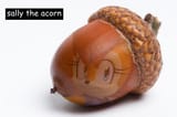 Sally the Acorn