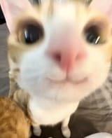 1751422191397362