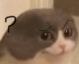 1737463473873487