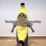 32523416523452
