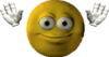 1729408154995439