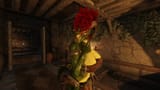 The Elder Scrolls V Skyrim Special Edition Screenshot 2025.06.03 - 17.44.35.79