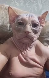 1745590262560780