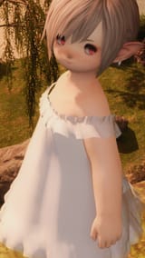 ffxiv_06132025_011256_987