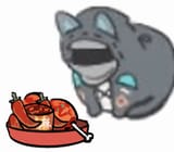 spicy kotdoc