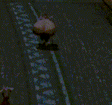 omw