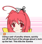 this kills the sumika