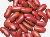 beans