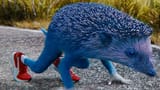 hedgehort