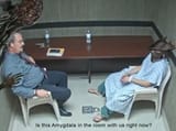 Amygdala in the room