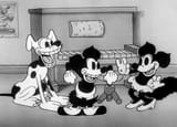 foxyandroxylooneytunes